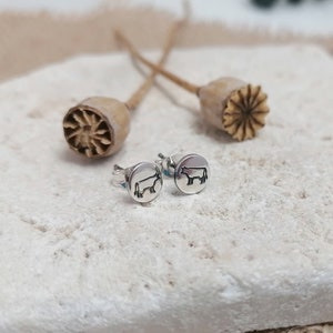 May include: A pair of silver stud earrings with a cow silhouette design. The earrings are on a white surface.