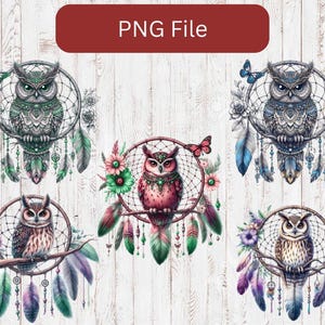 May include: A collection of five owl designs, each within a dreamcatcher frame. The owls feature intricate details and are adorned with feathers, flowers, and butterflies. The text "PNG File" is displayed in a red rectangle at the top.