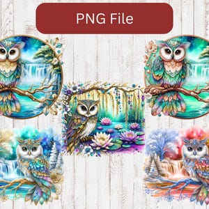 Op de afbeelding: Vier digitale kunstprints met kleurrijke uilen met ingewikkelde details. Elke uil is omringd door een fantasierijk landschap met watervallen, bloemen en bladeren. De uilen zijn afgebeeld in een levendig blauw, groen en paars kleurenpalet.