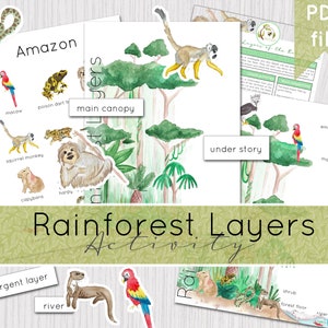 Rainforest Layers Printable Activity Instant Download DIGITAL DOWNLOAD image 1