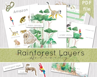 Rainforest Layers Printable Activity | Instant Download | DIGITAL DOWNLOAD