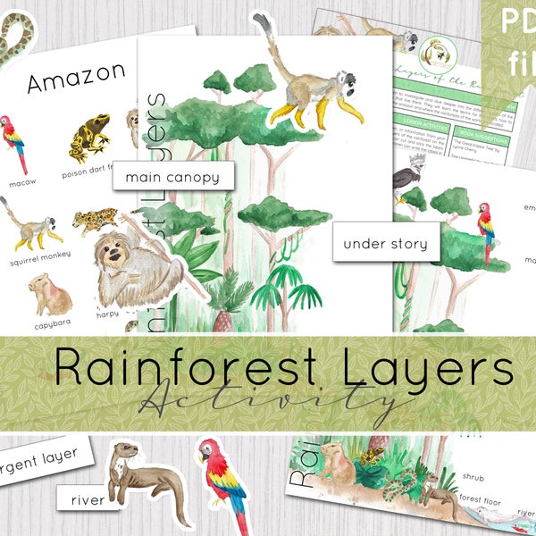Rainforest Layers Printable Activity | Instant Download | DIGITAL DOWNLOAD