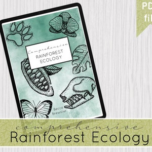 Comprehensive Rainforest Ecology | Educational Ebook for ages 14+