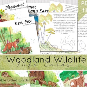 Woodland Wildlife Info Cards - Double Sided | Instand Download | DIGITAL DOWNLOAD