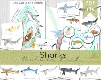 Shark Nature Study Pack | DIGITAL DOWNLOAD