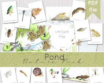 Frog Nature Pack | Printable Nature Study - Includes 1 Poster, 1 Journal Page, 1 Activity and 12 Flashcards | DIGITAL DOWNLOAD