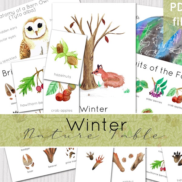 Winter Nature Table Resources | Printable Poster & Flashcards | DIGITAL DOWNLOAD