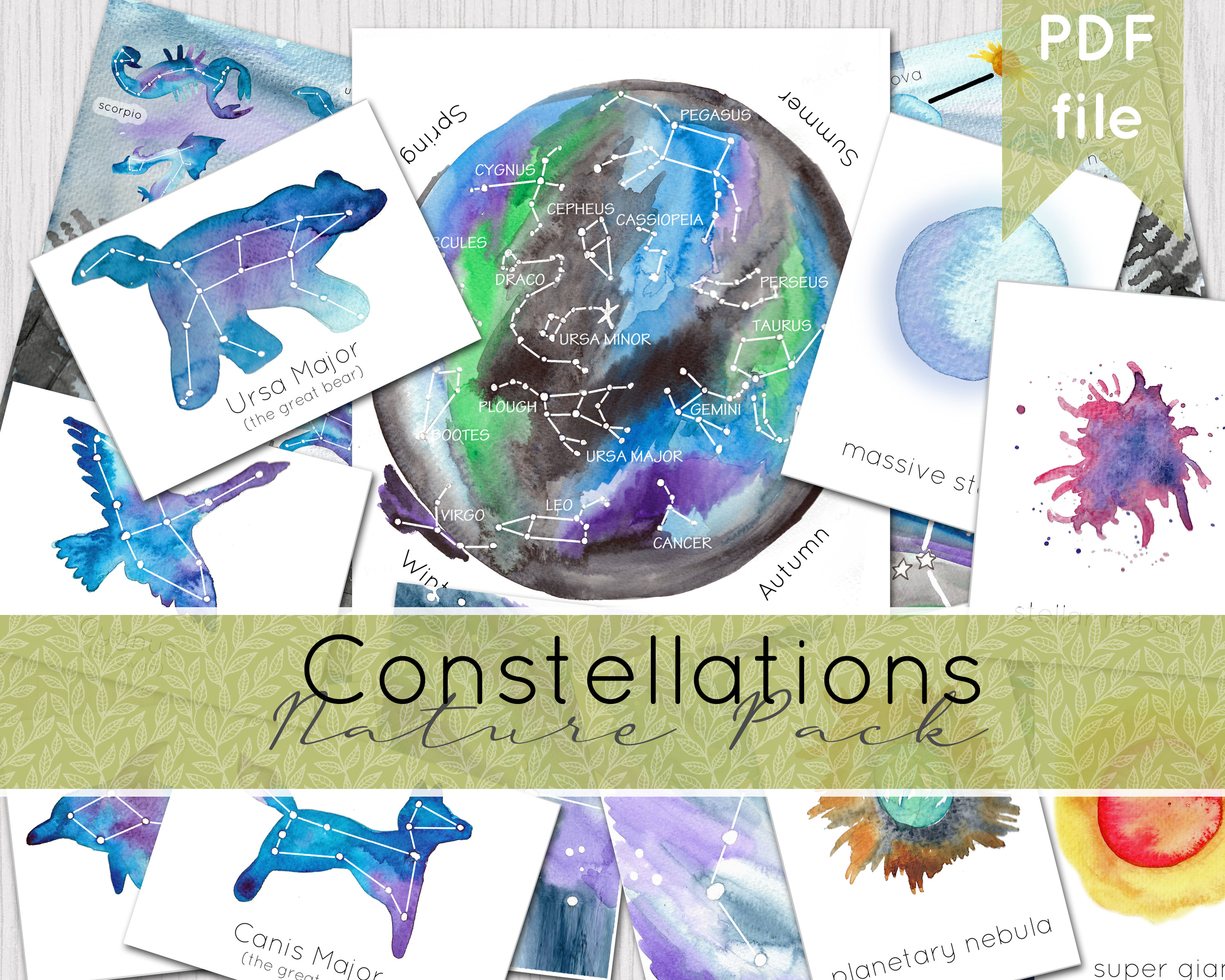 Constellations Nature Pack | Watercolour Nature Journaling | Home school Curriculum | DIGITAL DOWNLOAD