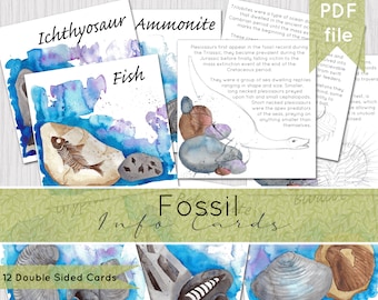Fossil Info Cards - Double Sided | Instand Download | DIGITAL DOWNLOAD