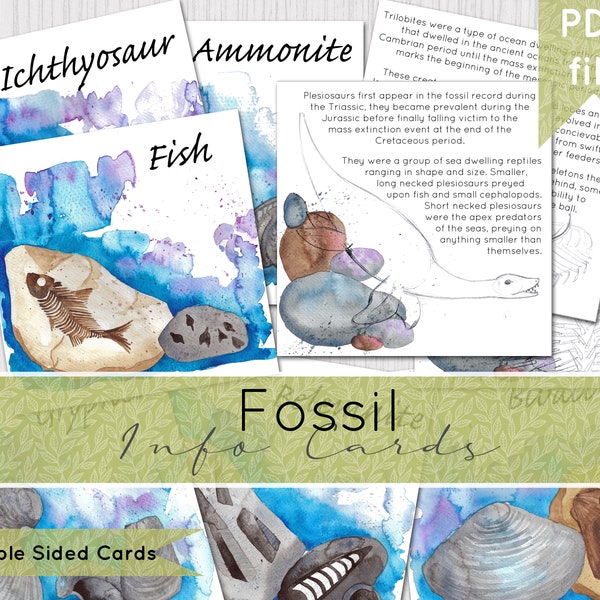 Fossil Info Cards - Double Sided | Instand Download | DIGITAL DOWNLOAD