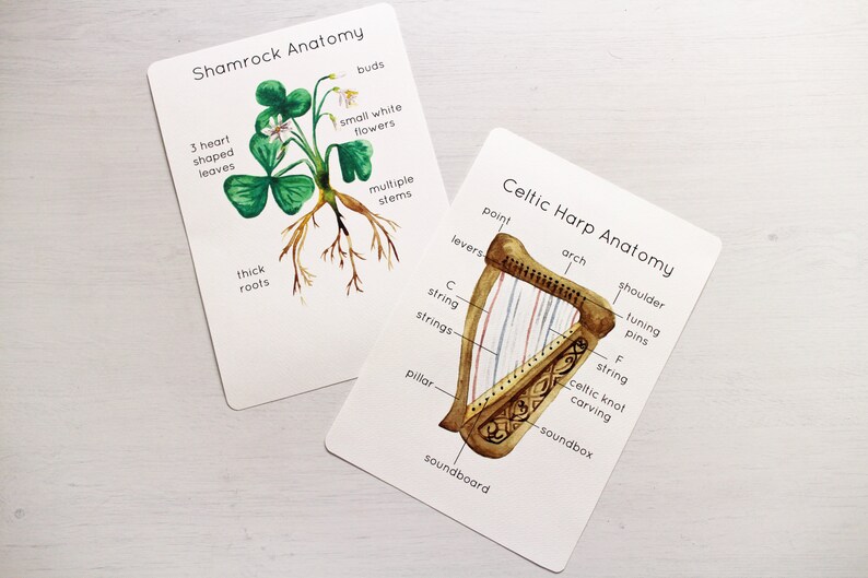 Saint Patrick/'s Day Resources Irish Symbols Poster Shamrock Anatomy Parts of a Celtic Harp