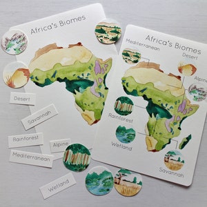 African Biome Poster and Activity