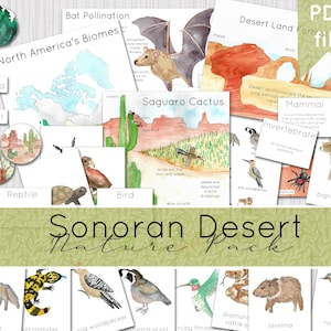 Sonoran Desert Nature Pack | North American Nature Study | Instant Download | DIGITAL DOWNLOAD