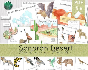 Sonoran Desert Nature Pack North American Nature Study - Etsy Australia Sonoran Desert Nature Pack North American Nature Study - Etsy Australia