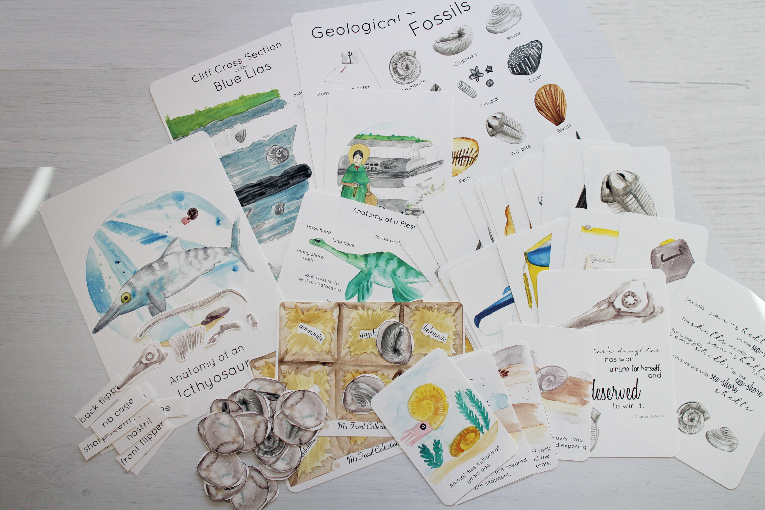 Mary Anning Collection - History, Geology & Fossil Printable