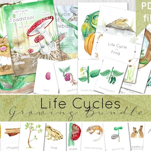 Life Cycle Bundle | Access to all my life cycle posters & cards | INSTANT DOWNLOAD