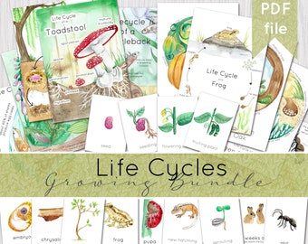 Life Cycle Bundle | Access to all my life cycle posters & cards | INSTANT DOWNLOAD