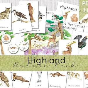 Highland Wildlife Nature Pack | Watercolour Scottish Wildlife Learning Set | INSTANT DOWNLOAD