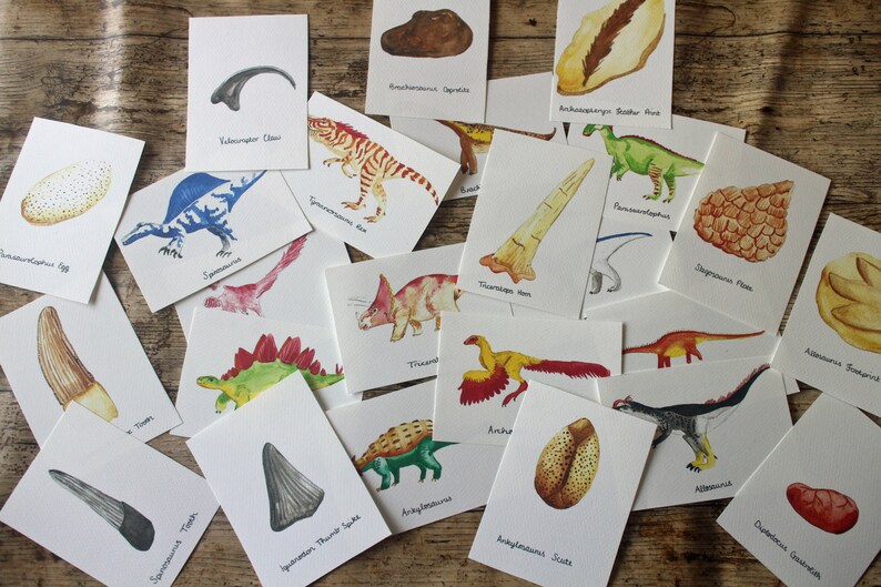 dinosaurs and fossils ks2