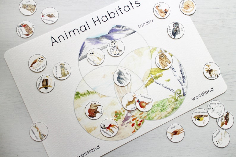 Animal Habitat Sorting Venn diagram Etsy