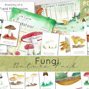 Fungi Nature Pack | Autumn Woodland | Nature Study | DIGITAL DOWNLOAD