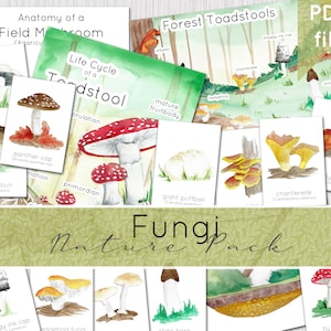 Pack nature champignons | Forêt d'automne | Étude de la nature | TÉLÉCHARGEMENT NUMÉRIQUE