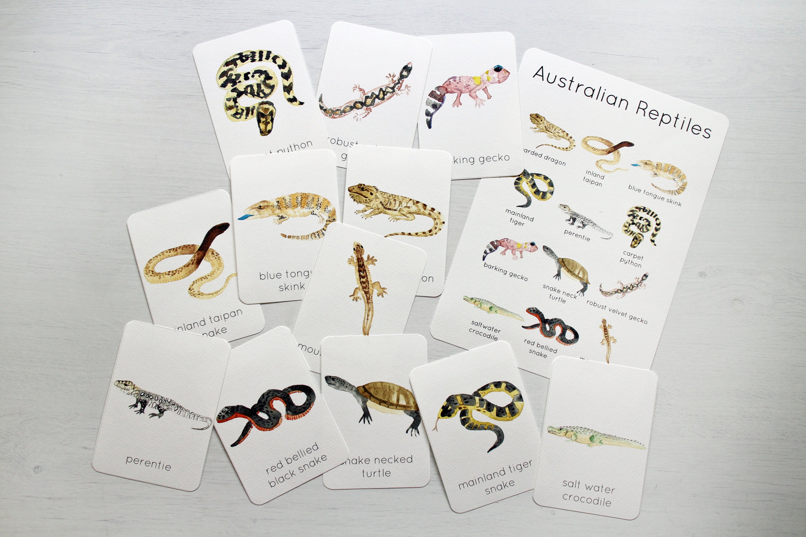 Australian Reptiles Flashcards and Poster Set Australian Etsy