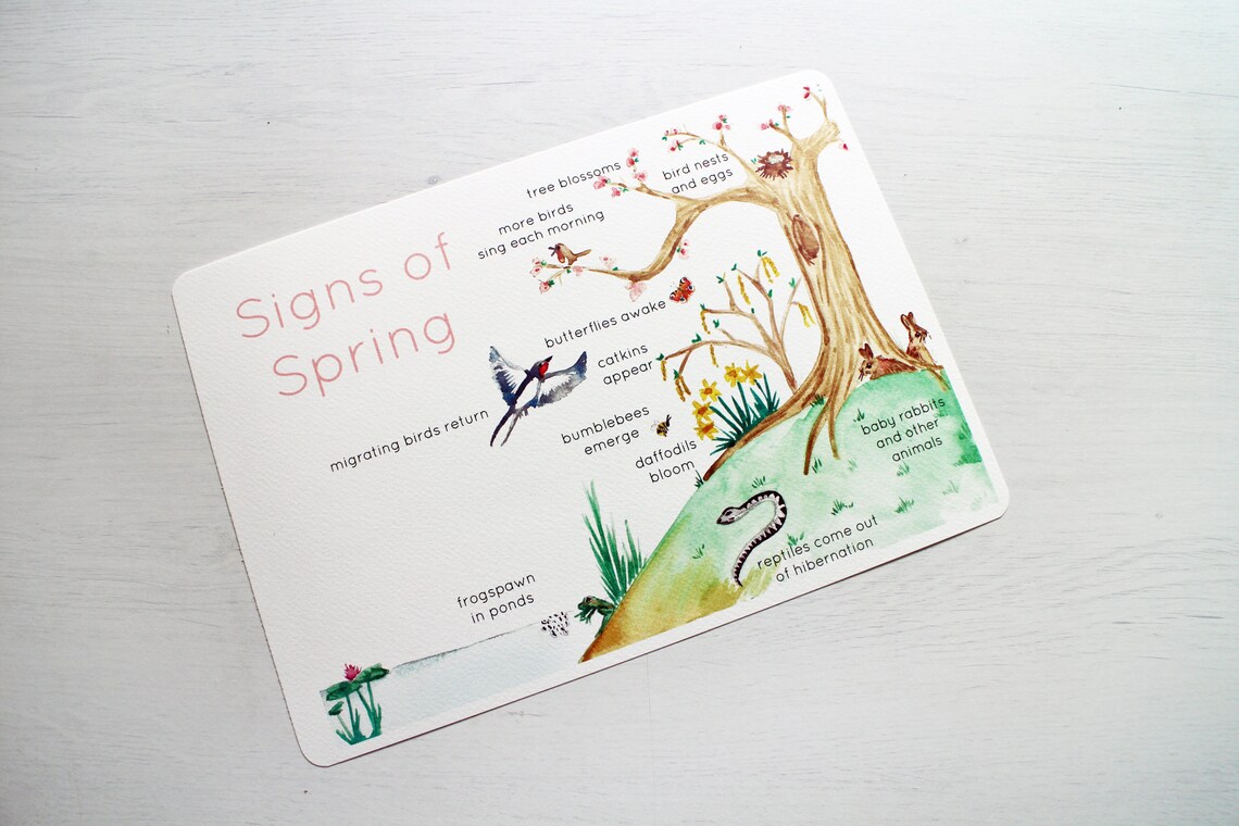 Spring Early Years Activity Bundle Phonics & Maths Etsy