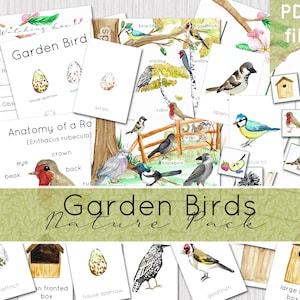 Paquete de estudio de la naturaleza sobre aves de jardín / Aves británicas imprimibles / DESCARGA DIGITAL