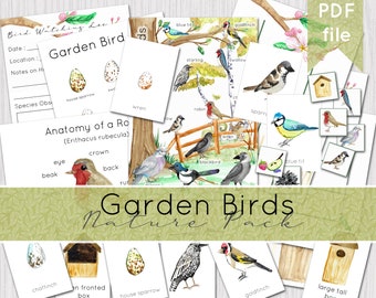 Garden Birds Nature Study Pack | British Birds Printable | DIGITAL DOWNLOAD