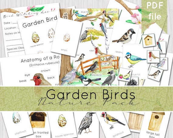 Garden Birds Nature Study Pack  British Birds Printable