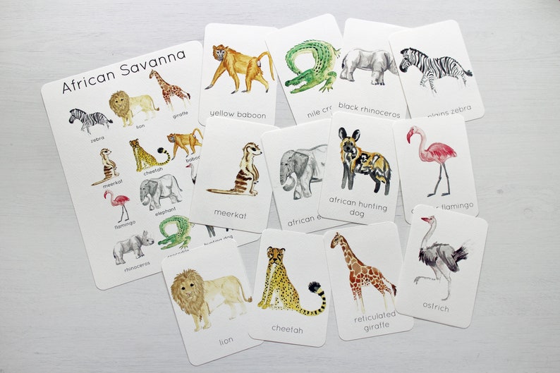 African Savanna Animal Printable Flashcards & Poster Etsy UK