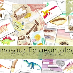 Dinosaur Nature Pack | Palaeontology Science Pack | DIGITAL DOWNLOAD