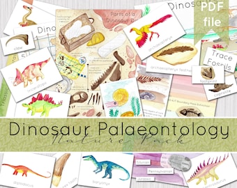 Dinosaur Nature Pack | Palaeontology Science Pack | DIGITAL DOWNLOAD