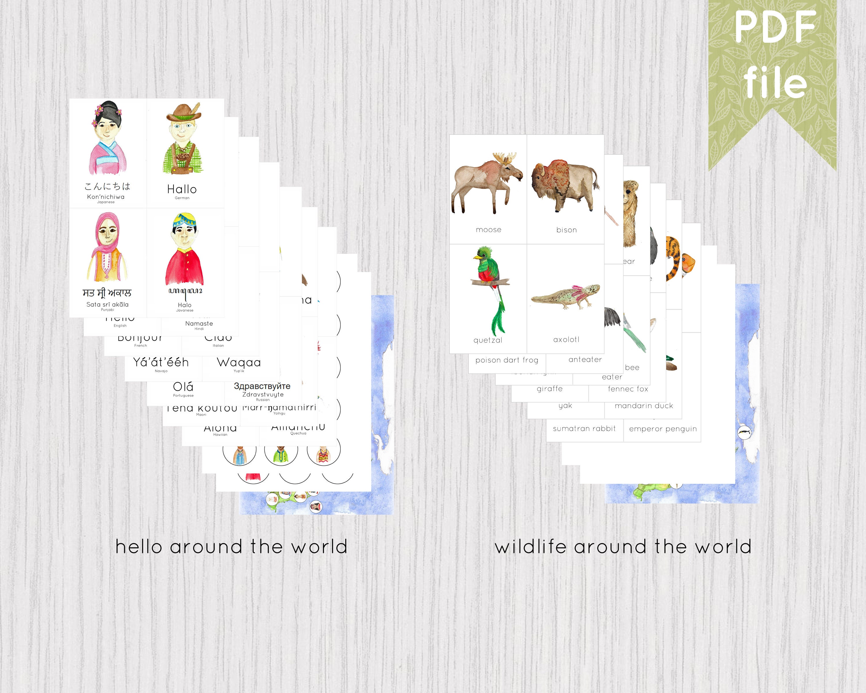 World Mapping Pack Geography Map Drill Continents Biomes Etsy