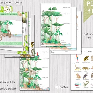 Rainforest Layers Printable Activity Instant Download DIGITAL DOWNLOAD image 2