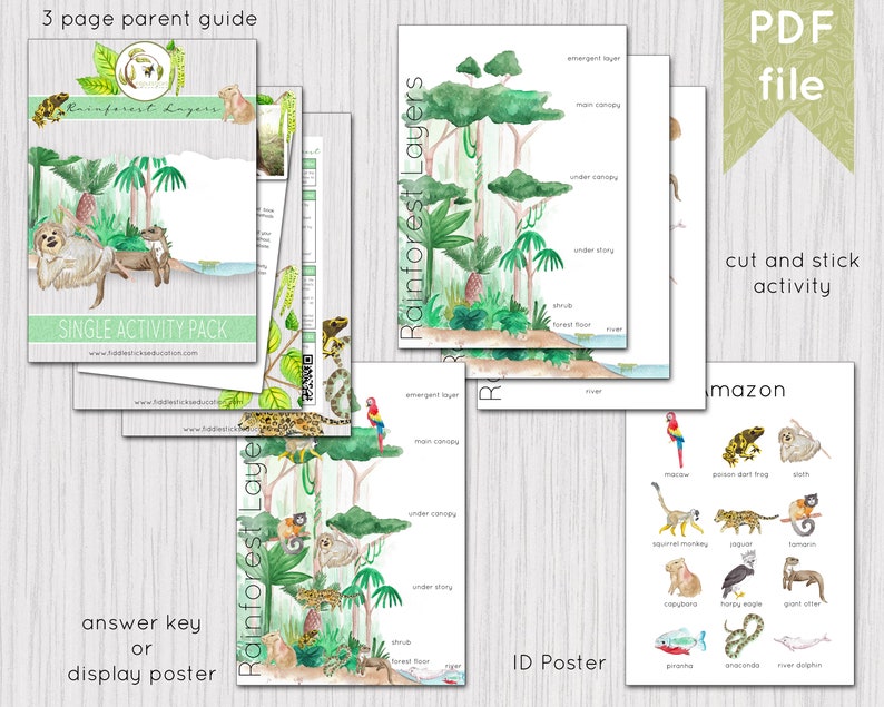 Rainforest Layers Printable Activity Instant Download DIGITAL DOWNLOAD image 2