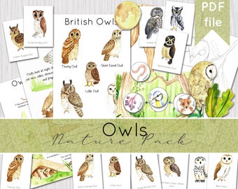 Owl Nature Pack | Watercolour Nature Journaling | Children's Activities | Living Book Home school Curriculum