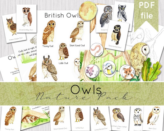 Owl Nature Pack  Watercolour Nature Journaling