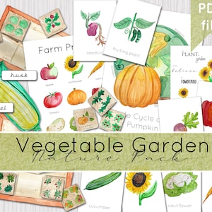 Vegetable Garden Printable Science and Nature Study Pack | Gardening, Vegetables | DIGITAL DOWNLOAD