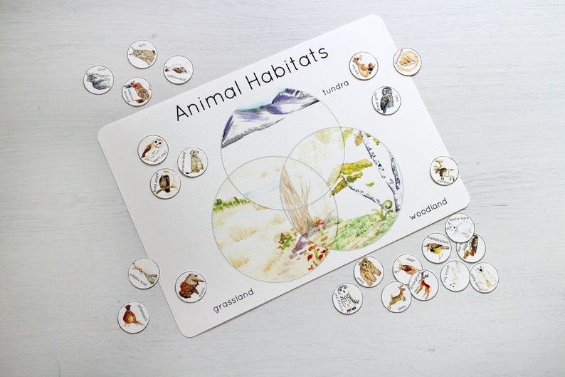 Animal Habitat Sorting Venn diagram Etsy
