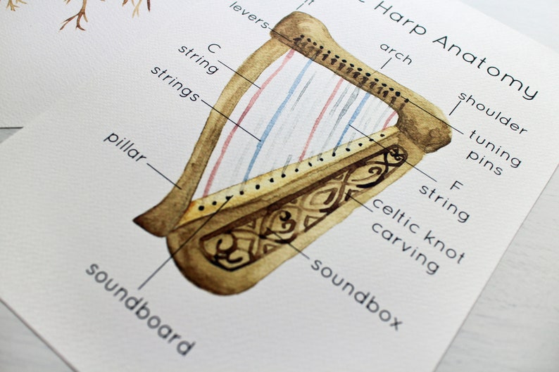 Saint Patrick/'s Day Resources Irish Symbols Poster Shamrock Anatomy Parts of a Celtic Harp