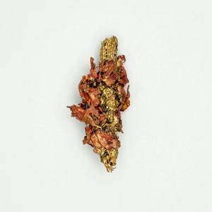Mezuzah #346