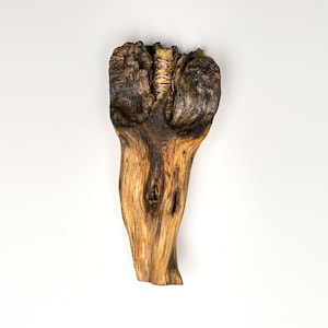 Mezuzah #290