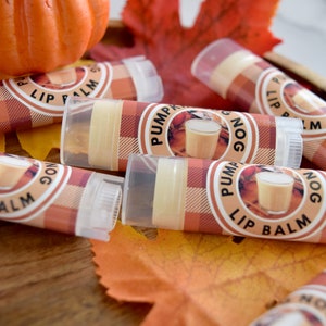 Pumpkin Eggnog Lip Balm, Handmade lip balm, Lip moisturizer for chapped lips, Pumpkin Lip balm