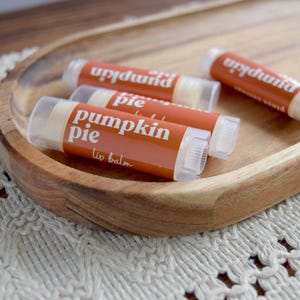 Pumpkin Pie Lip Balm, Handmade lip balm, Lip moisturizer for chapped lips, Pumpkin Lip balm