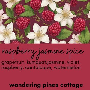 Raspberry Jasmine Spice Wax Melt, Wax Tart for warmers, Clamshell Wax Melt, fragrance for the home image 2