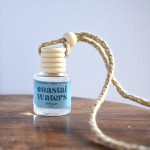Coastal Waters Hanging Air Freshener Car Diffuser, Reed diffuser for car, beachy scent air freshener, odor eliminator