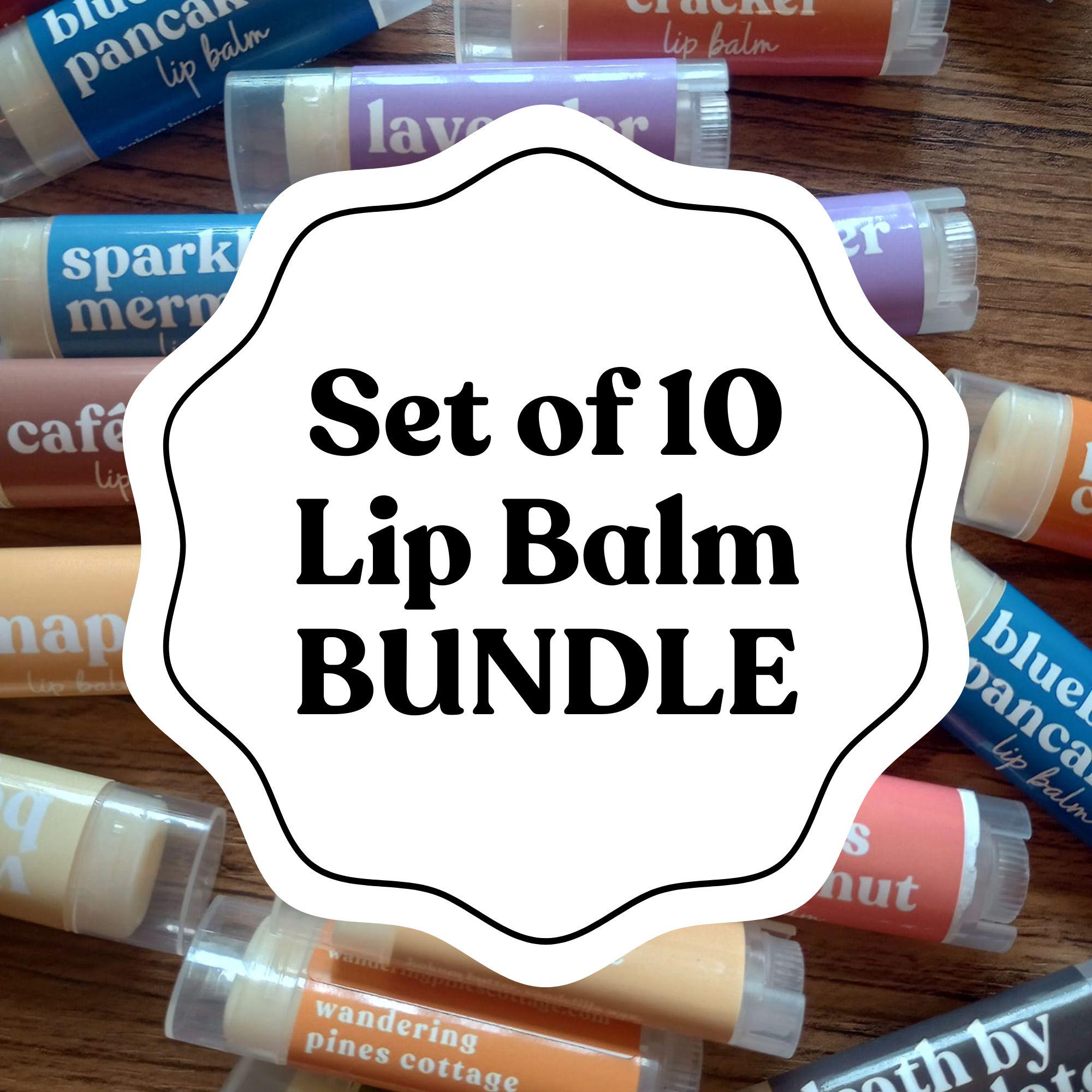 Lip Balm Variety Pack, Vegan Lip Balm, Lip balm bundle, Lip Care, Party Favor, Stocking Stuffer, Choose ten flavors