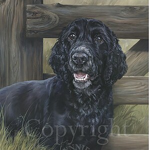 COCKER SPANIEL Schwarzer Cocker Spaniel Fine Art Print